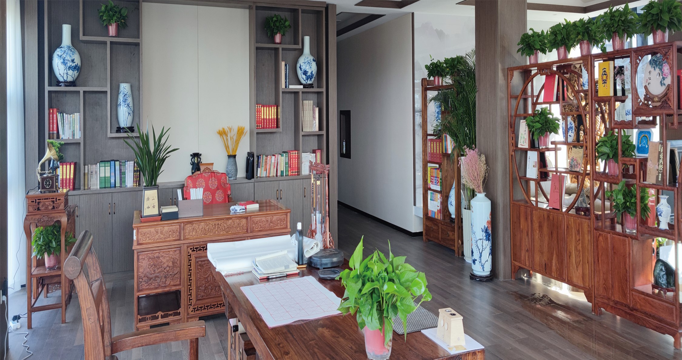 泰山黃精標(biāo)準(zhǔn)化種植基地提升(圖3)